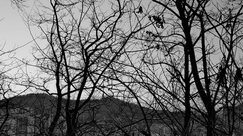 image cd87177567