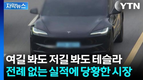 테슬라가 현대 기아 시장을 뒤흔든 충격적인 판매량