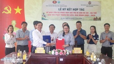 1784017841049 Hop Tac Bao Ton Pha 4185 1784009122