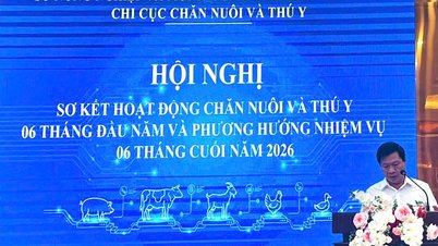 1784083618946 4