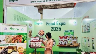 1784090815366 Hapro2 1023